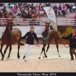Etoile du Bary 2
