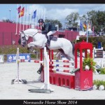 Viking du Bary CIR 5ans 1