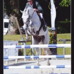 Viking du Bary CIR 5ans 3
